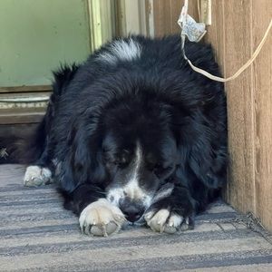 Meet your Posher, Milena